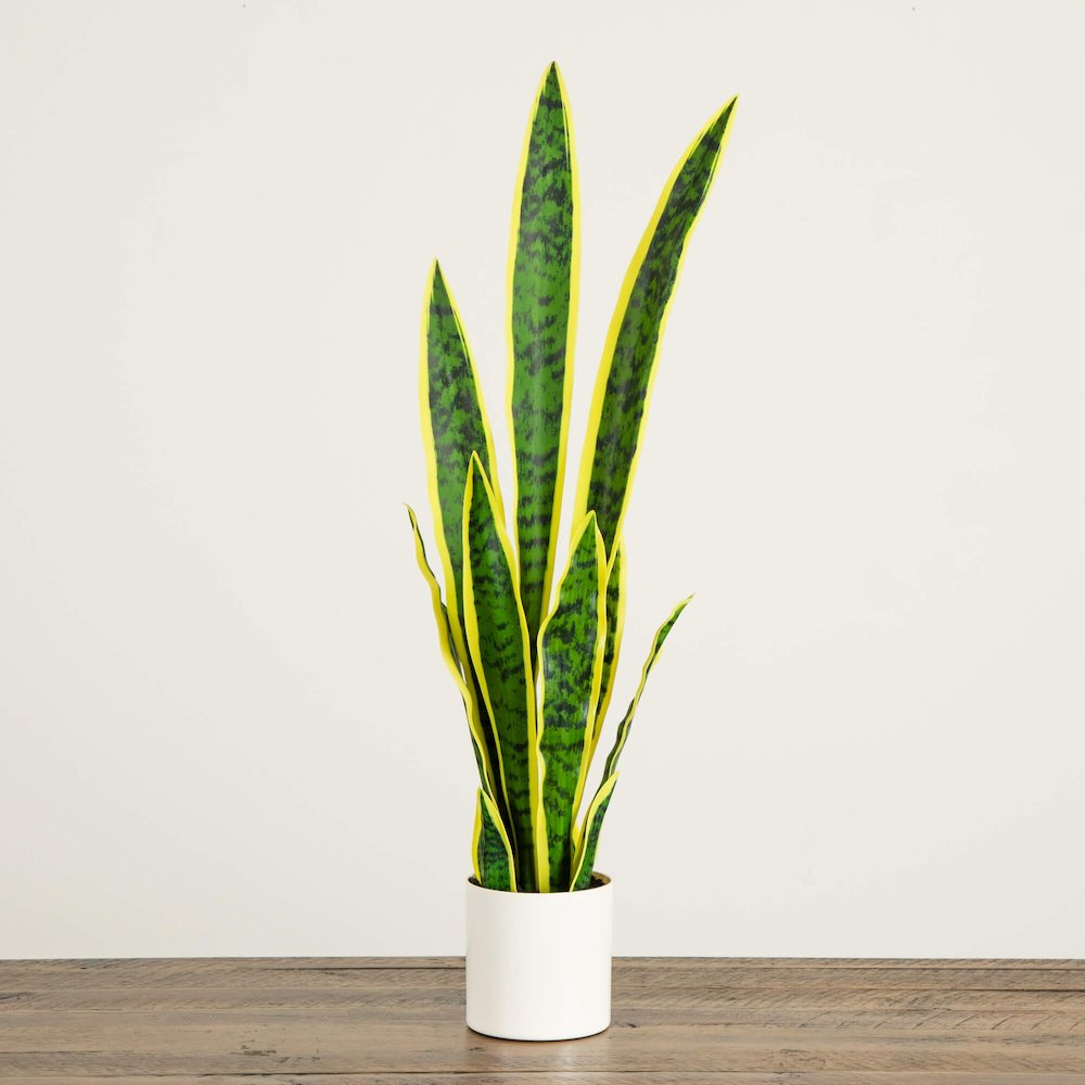 30in. Artificial Sansevieria Plant. Picture 5
