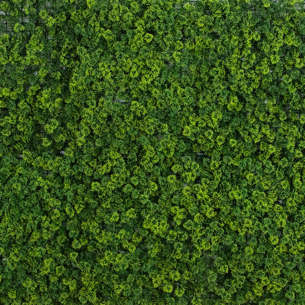 UV Resistant Irish Green Meadow Artificial Living Wall Panels - Set of 6. Picture 5