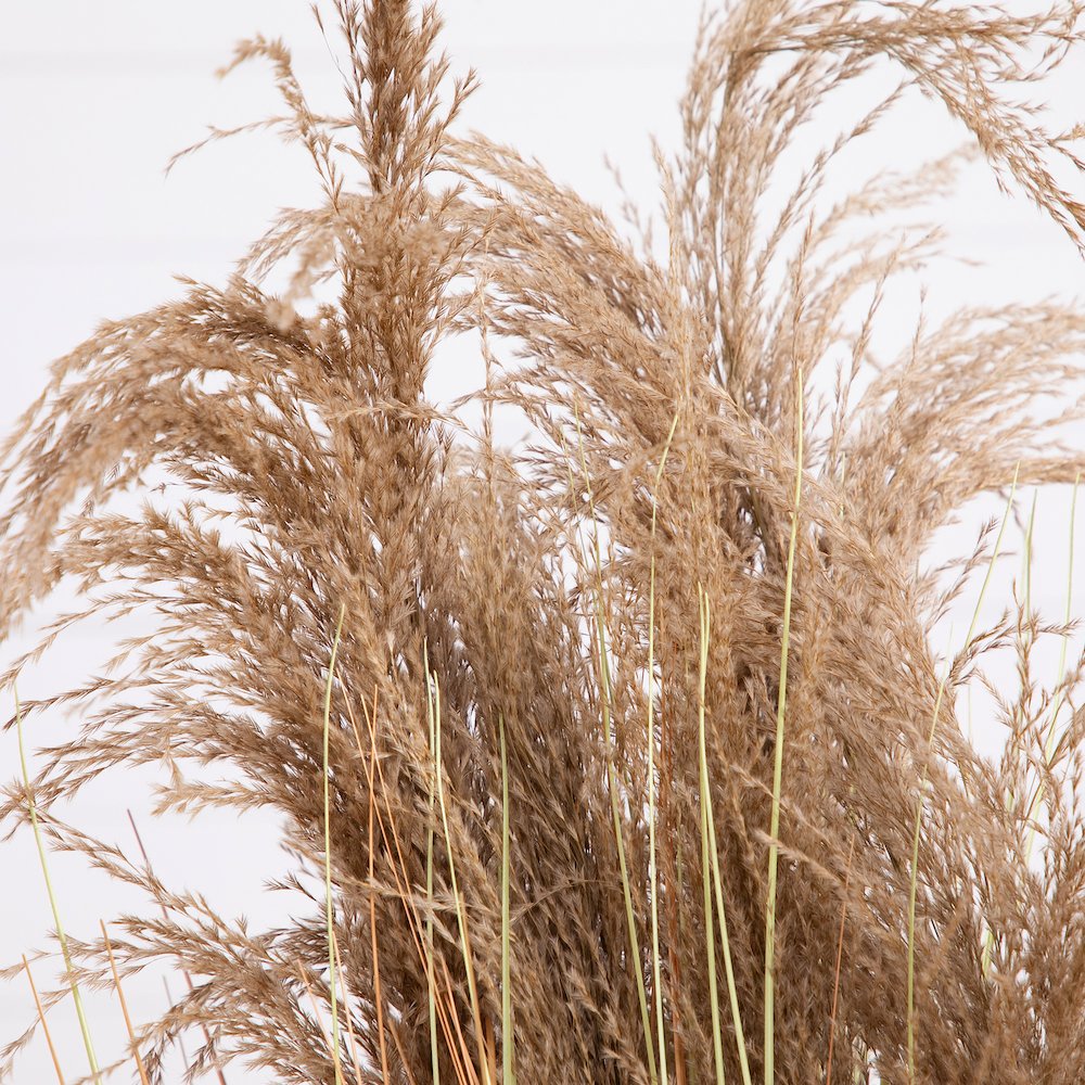 4ft. Artificial Pampas Grass. Picture 3