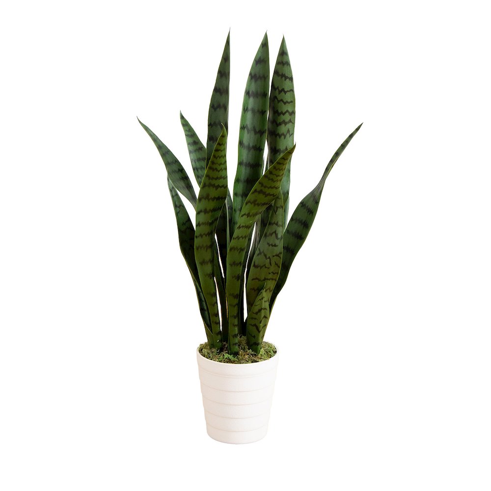 2ft. UV Resistant Artificial Sansevieria Plant in White Decorative Planter. Picture 1