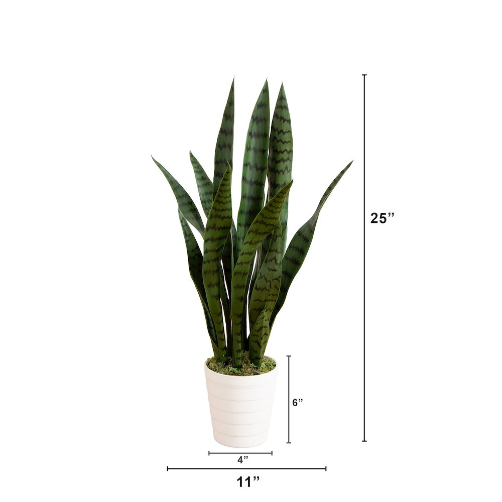 2ft. UV Resistant Artificial Sansevieria Plant in White Decorative Planter. Picture 2