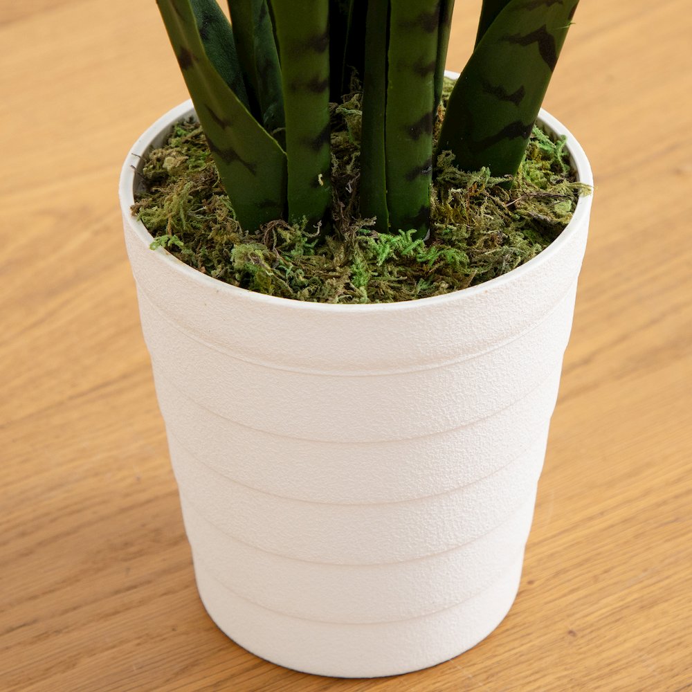 2ft. UV Resistant Artificial Sansevieria Plant in White Decorative Planter. Picture 4