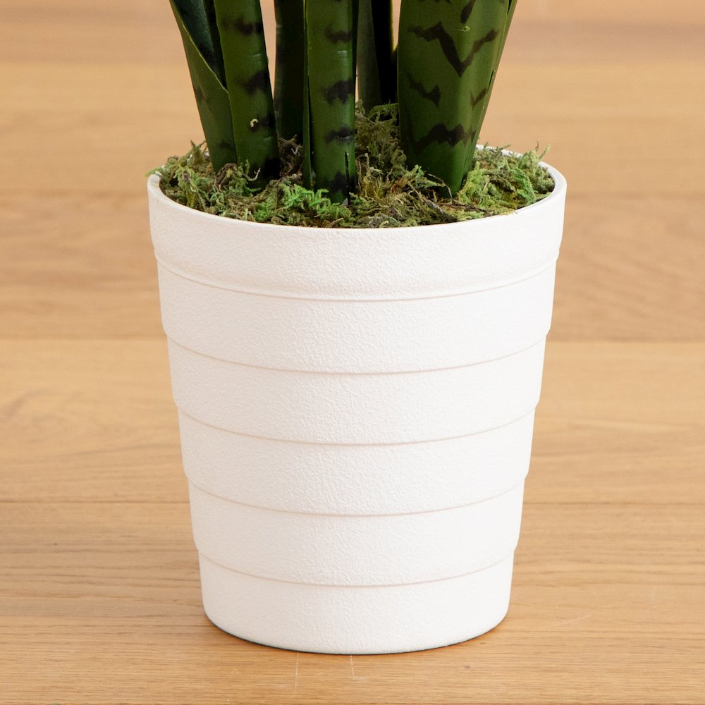 2ft. UV Resistant Artificial Sansevieria Plant in White Decorative Planter. Picture 5
