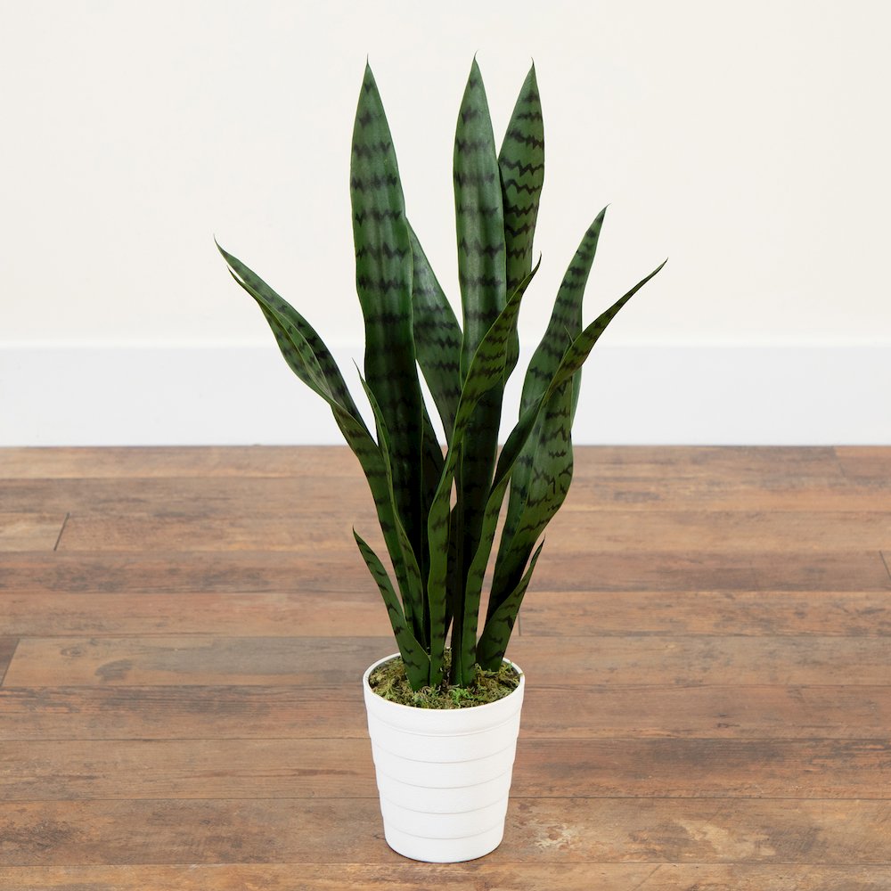 2ft. UV Resistant Artificial Sansevieria Plant in White Decorative Planter. Picture 7
