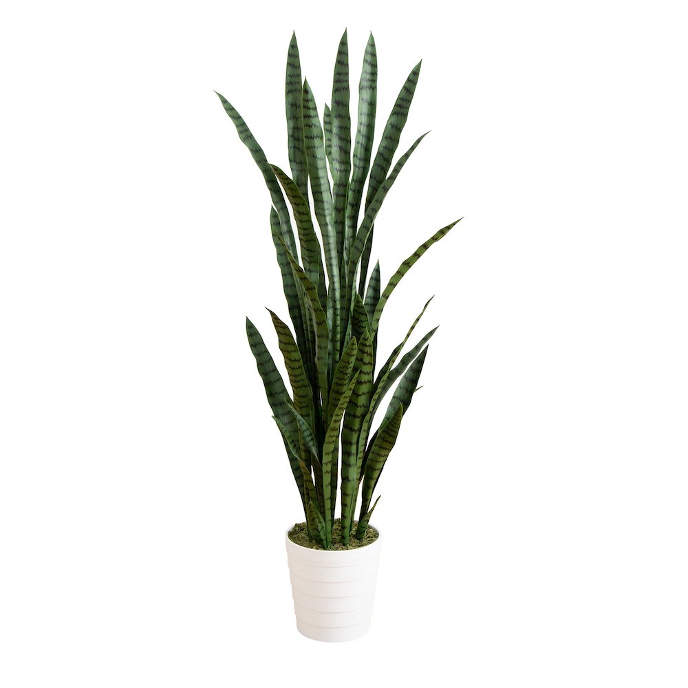 5ft. UV Resistant Artificial Sansevieria Plant in White Decorative Planter. Picture 1