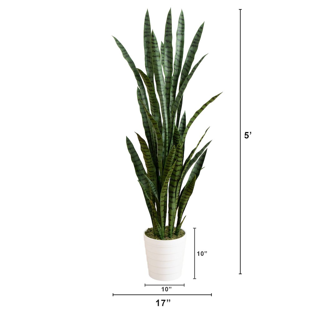 5ft. UV Resistant Artificial Sansevieria Plant in White Decorative Planter. Picture 2