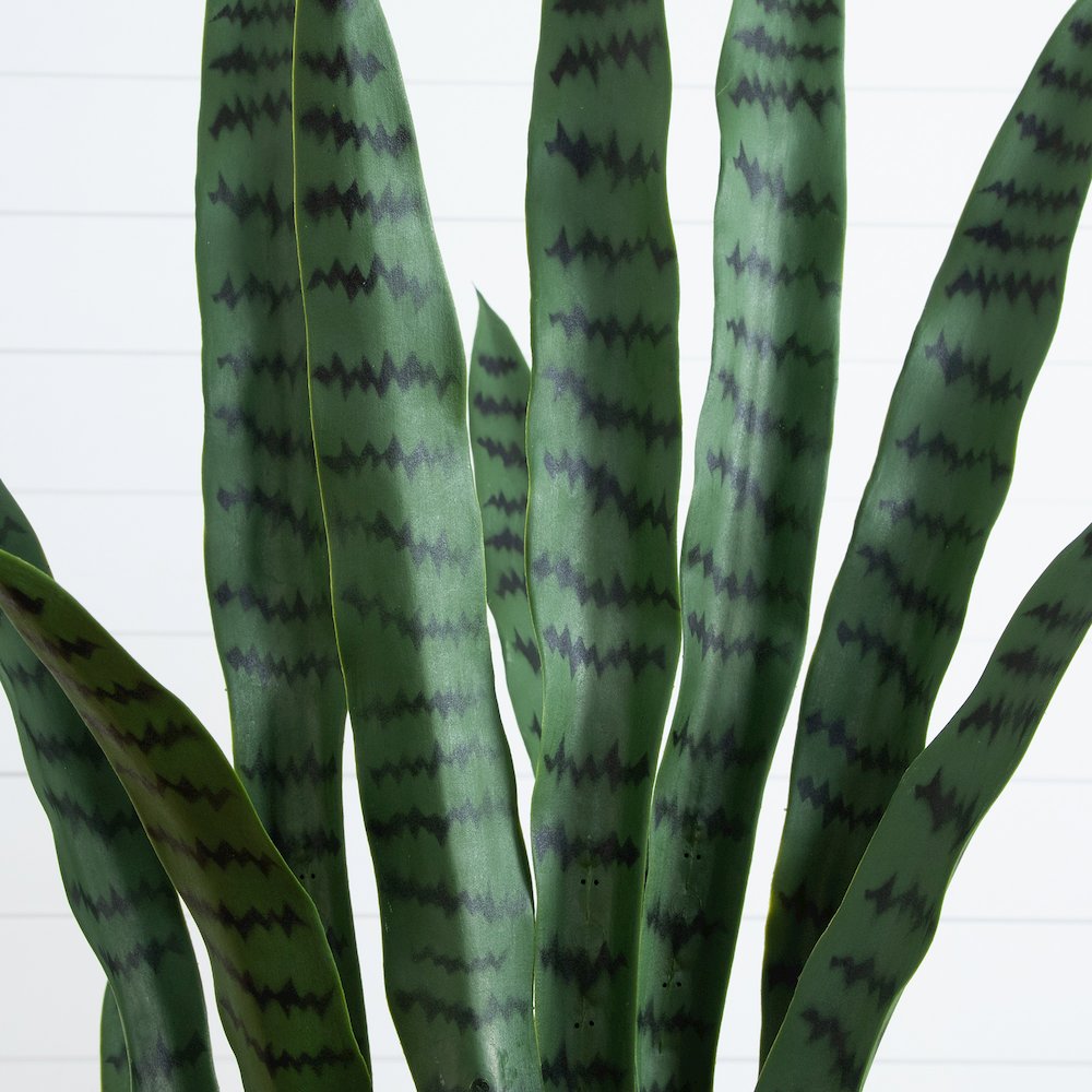 5ft. UV Resistant Artificial Sansevieria Plant in White Decorative Planter. Picture 3