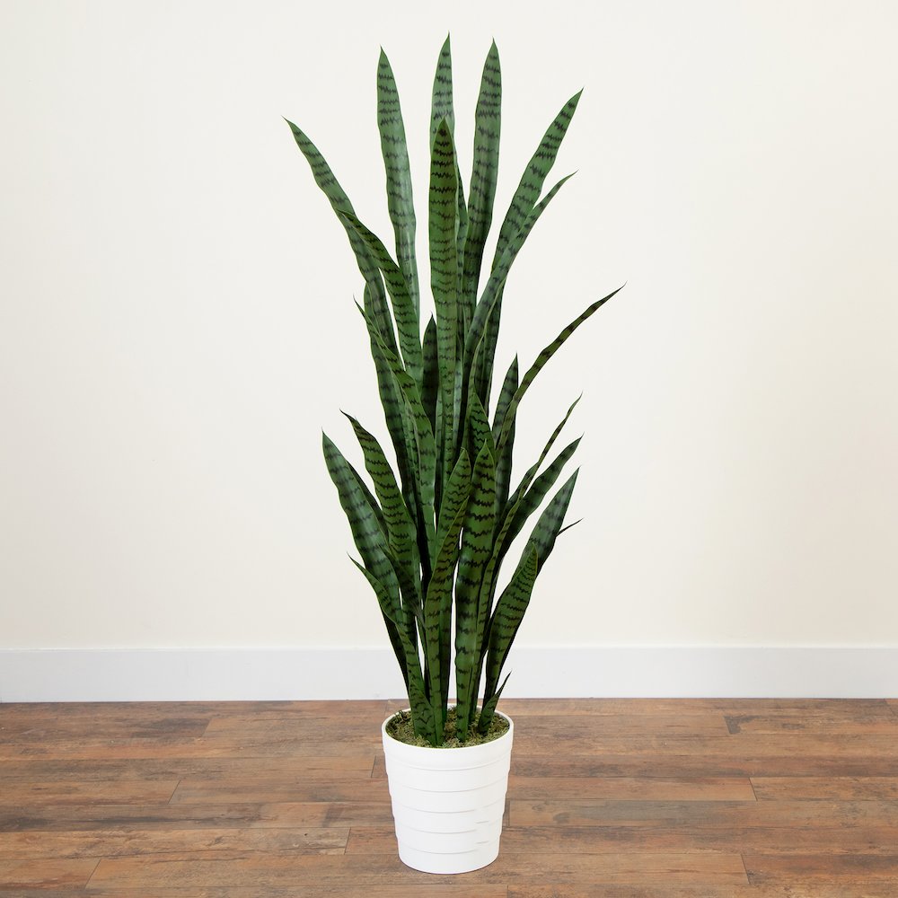 5ft. UV Resistant Artificial Sansevieria Plant in White Decorative Planter. Picture 7