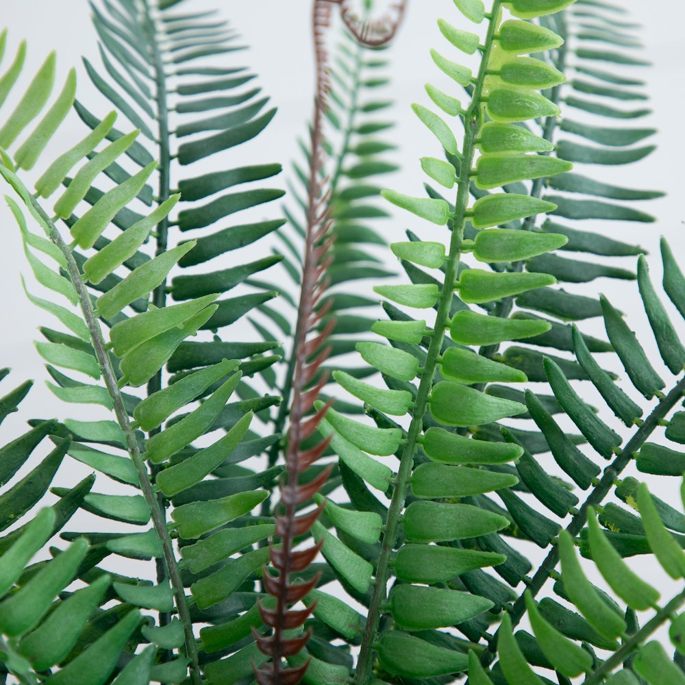 16in. Artificial Boston Fern Plant in Decorative Cement Planter. Picture 3