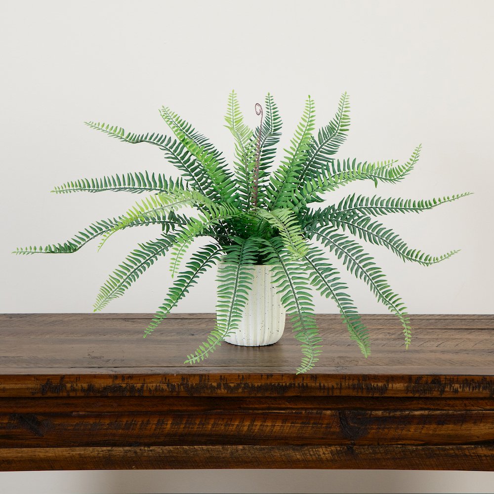 16in. Artificial Boston Fern Plant in Decorative Cement Planter. Picture 8