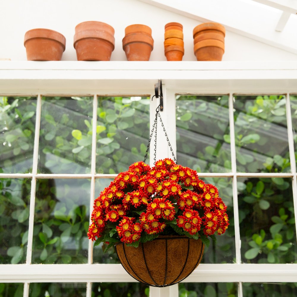 24in. UV Resistant Artificial Chrysanthemum Hanging Basket (Indoor/Outdoor). Picture 4