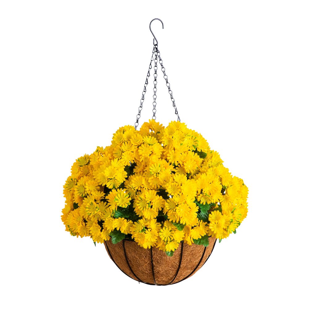 24in. UV Resistant Artificial Chrysanthemum Hanging Basket (Indoor/Outdoor). Picture 1