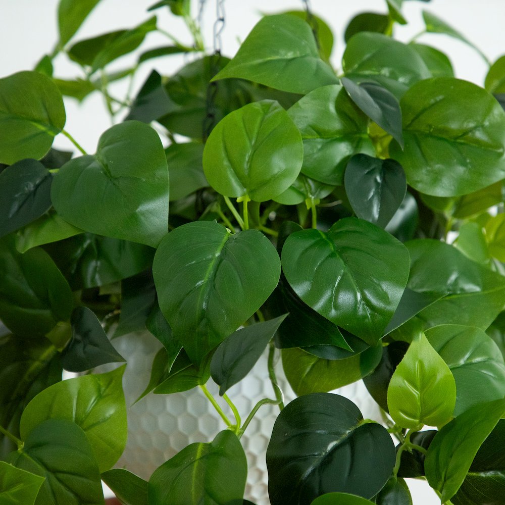 24in. UV Resistant Artificial Philodendron with 50 Warm White LED Lights. Picture 3