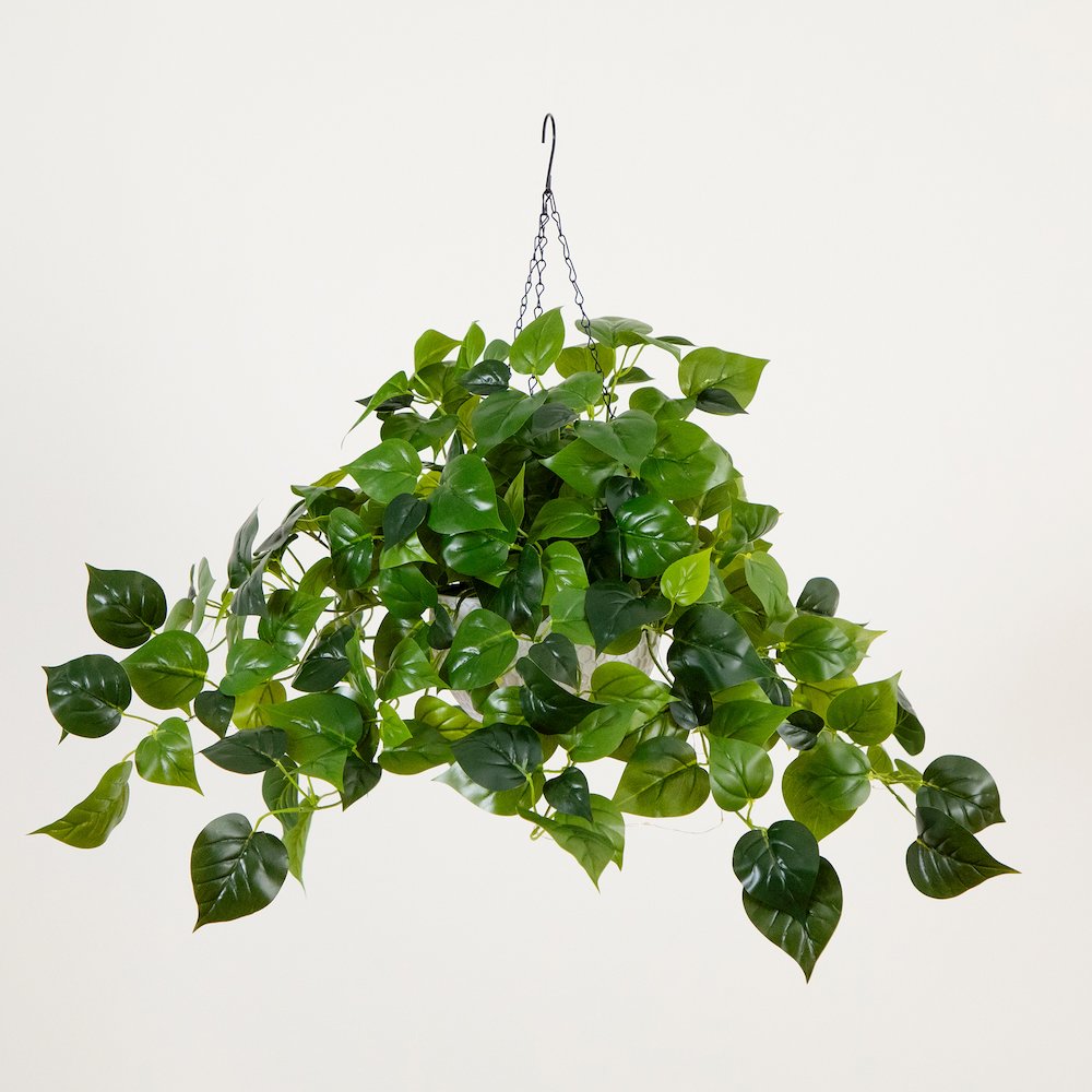 24in. UV Resistant Artificial Philodendron with 50 Warm White LED Lights. Picture 6