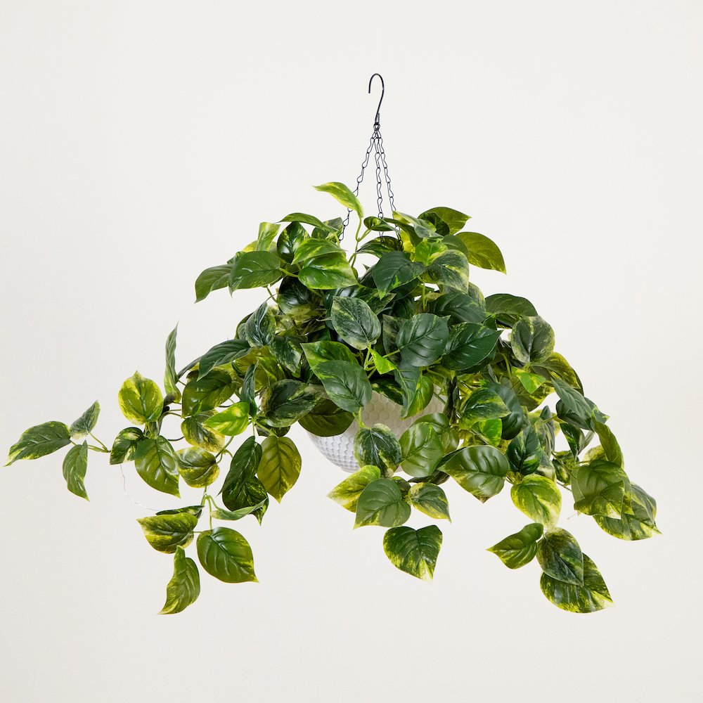24in. UV Resistant Artificial Pothos with 50 Warm White LED Lights. Picture 6
