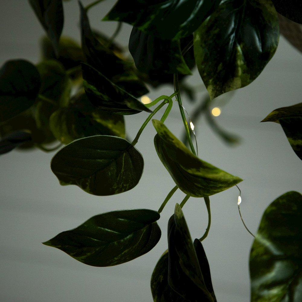 24in. UV Resistant Artificial Pothos with 50 Warm White LED Lights. Picture 8