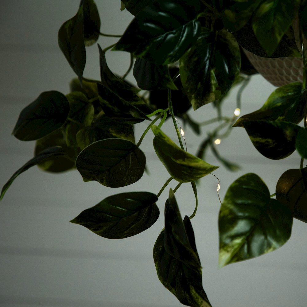 24in. UV Resistant Artificial Pothos with 50 Warm White LED Lights. Picture 9
