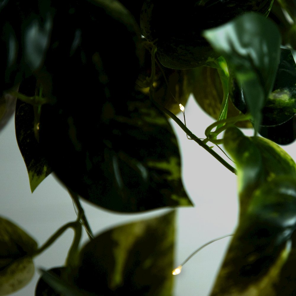 24in. UV Resistant Artificial Pothos with 50 Warm White LED Lights. Picture 10