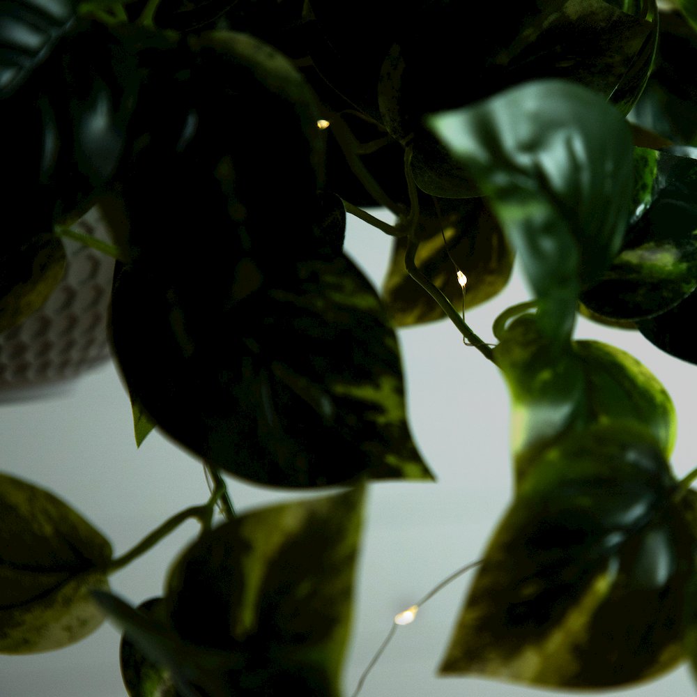 24in. UV Resistant Artificial Pothos with 50 Warm White LED Lights. Picture 11