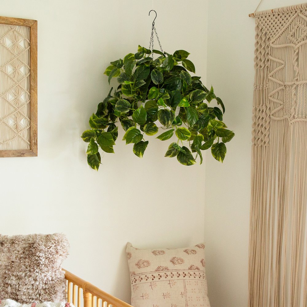 24in. UV Resistant Artificial Pothos with 50 Warm White LED Lights. Picture 15