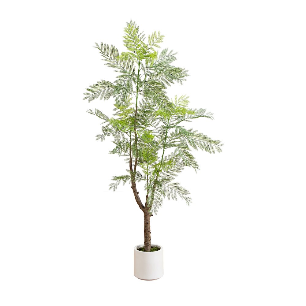 6ft. Artificial Minimalist Jacaranda Tree in White Decorative Planter. Picture 1