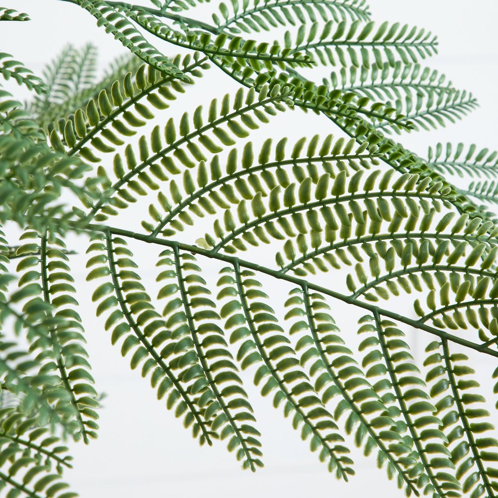 6ft. Artificial Minimalist Jacaranda Tree in White Decorative Planter. Picture 3