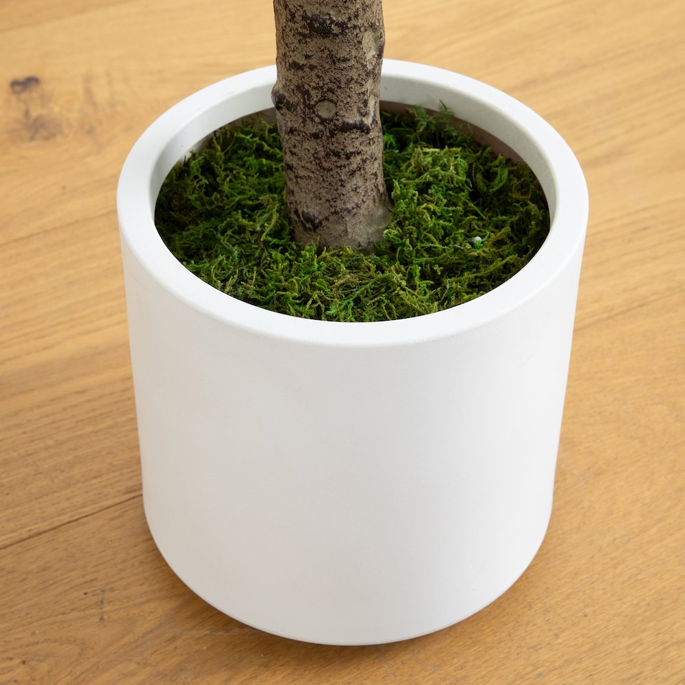 6ft. Artificial Minimalist Jacaranda Tree in White Decorative Planter. Picture 6