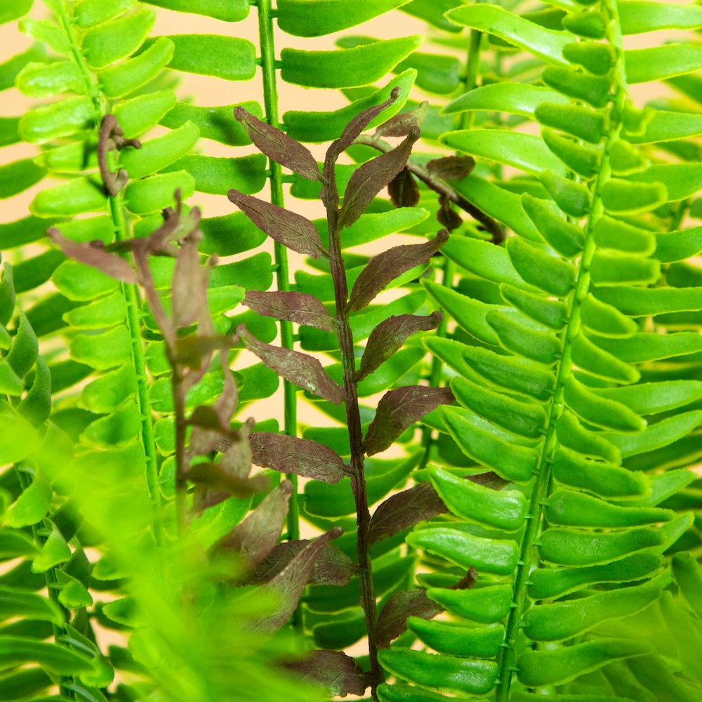 27in. UV Resistant Artificial Boston Fern Plant with Real Touch Leaves. Picture 4