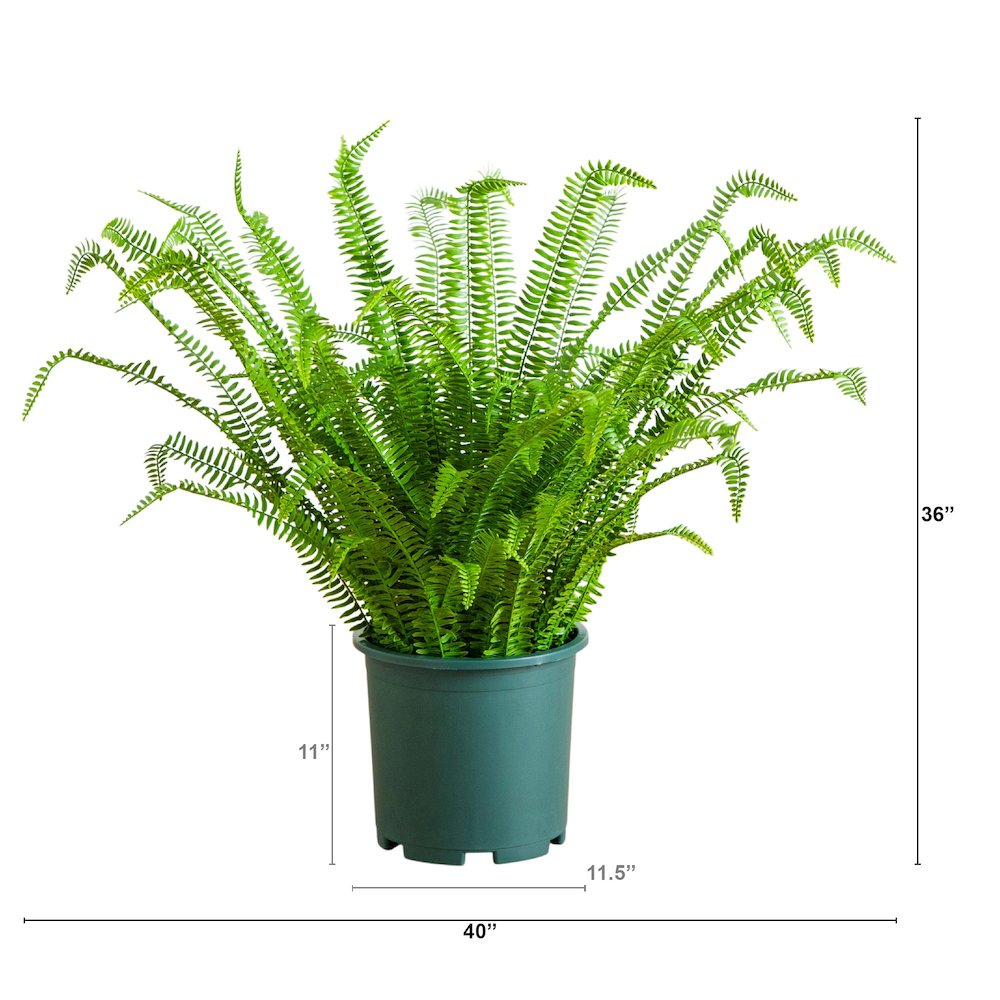 3ft. UV Resistant Artificial Boston Fern Plant with Real Touch Leaves. Picture 3