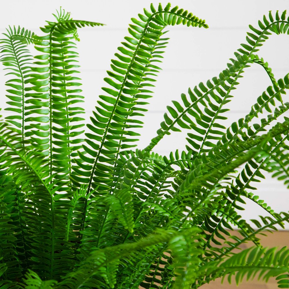 3ft. UV Resistant Artificial Boston Fern Plant with Real Touch Leaves. Picture 4