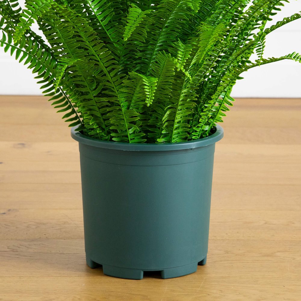 3ft. UV Resistant Artificial Boston Fern Plant with Real Touch Leaves. Picture 5
