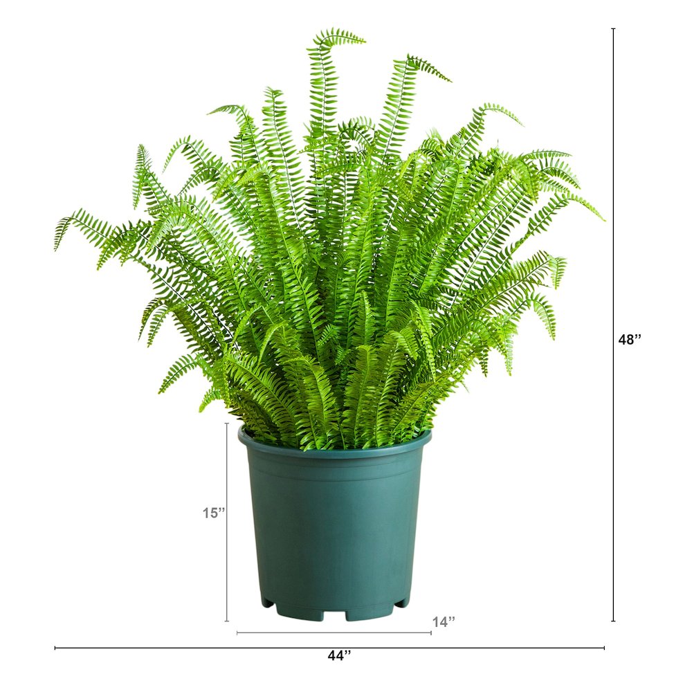 4ft. UV Resistant Artificial Boston Fern Plant with Real Touch Leaves. Picture 4