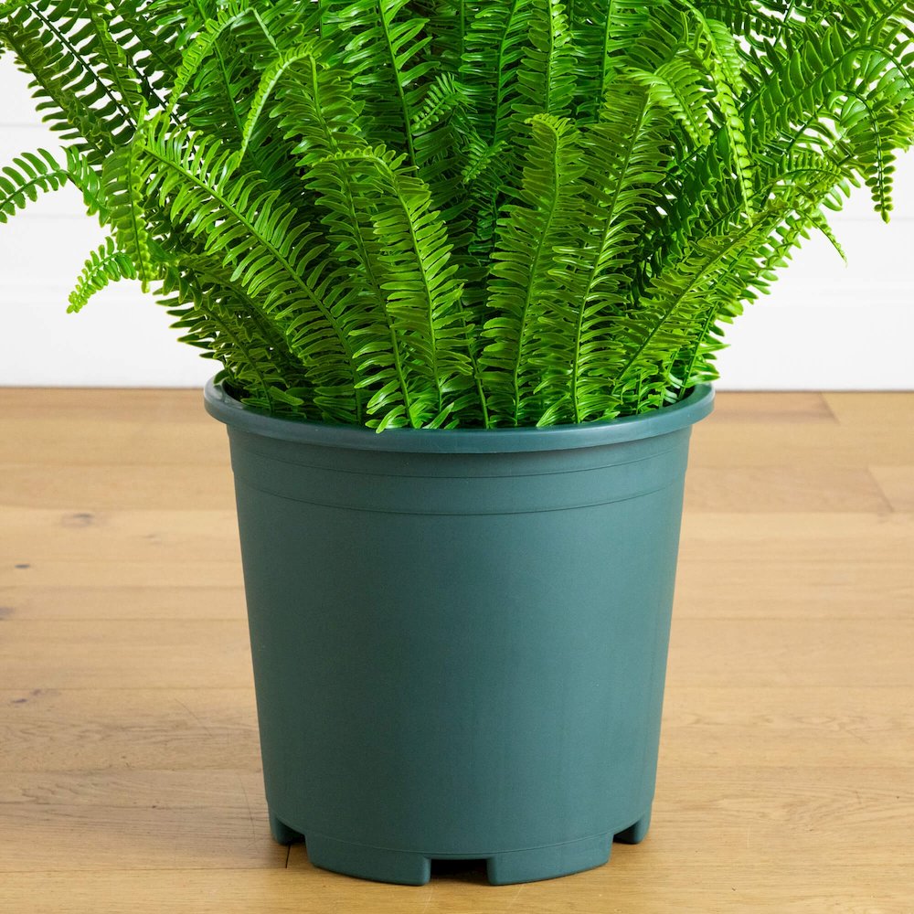 4ft. UV Resistant Artificial Boston Fern Plant with Real Touch Leaves. Picture 3
