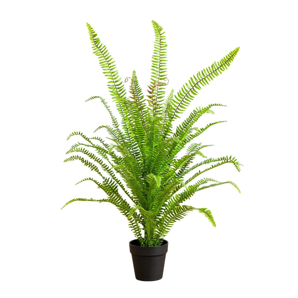 3ft. UV Resistant Artificial Boston Fern Potted Plant with Real Touch Leaves. Picture 5