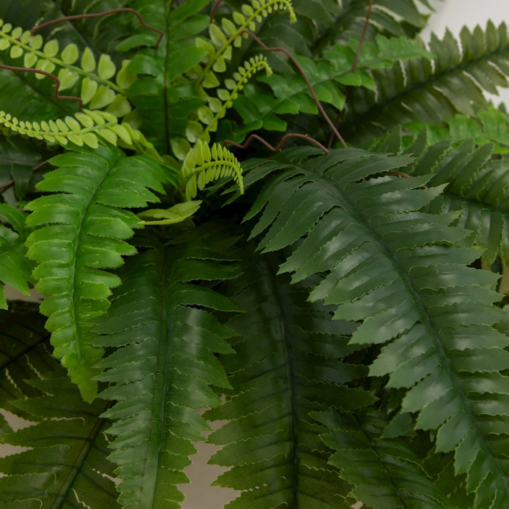 40in. UV Resistant Artificial Boston Fern (Indoor/Outdoor) - Set of 2. Picture 2