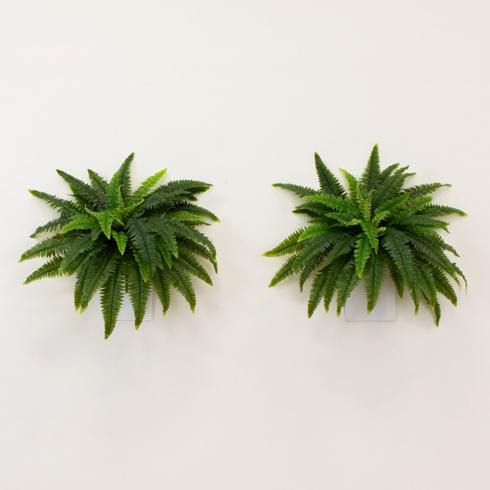 40in. UV Resistant Artificial Boston Fern (Indoor/Outdoor) - Set of 2. Picture 4