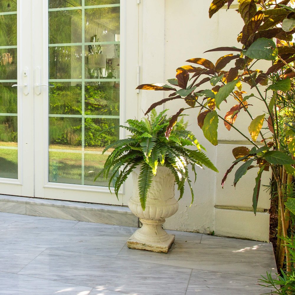 40in. UV Resistant Artificial Boston Fern (Indoor/Outdoor) - Set of 2. Picture 5