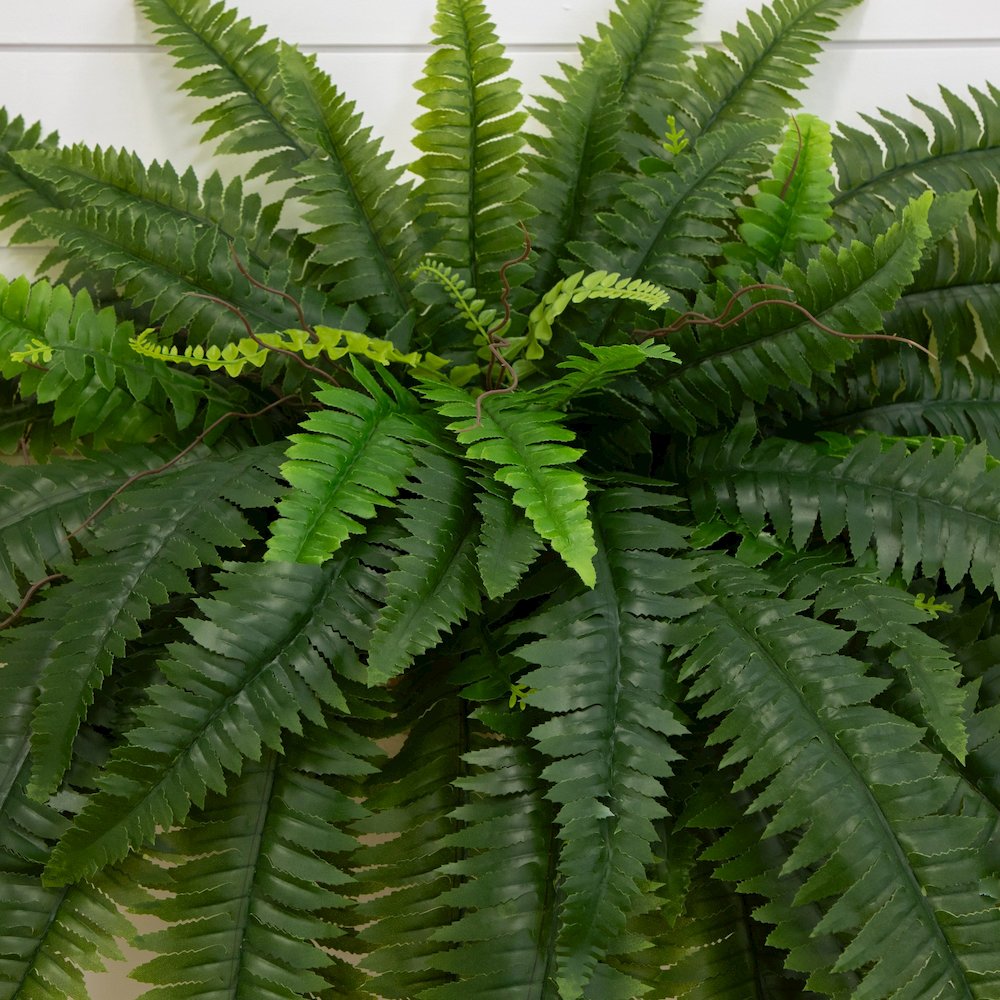 48in. UV Resistant Artificial Boston Fern (Indoor/Outdoor) - Set of 2. Picture 2
