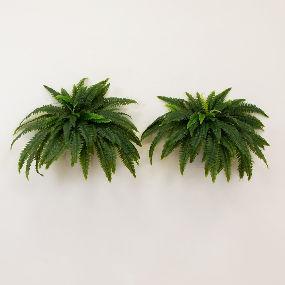 48in. UV Resistant Artificial Boston Fern (Indoor/Outdoor) - Set of 2. Picture 4