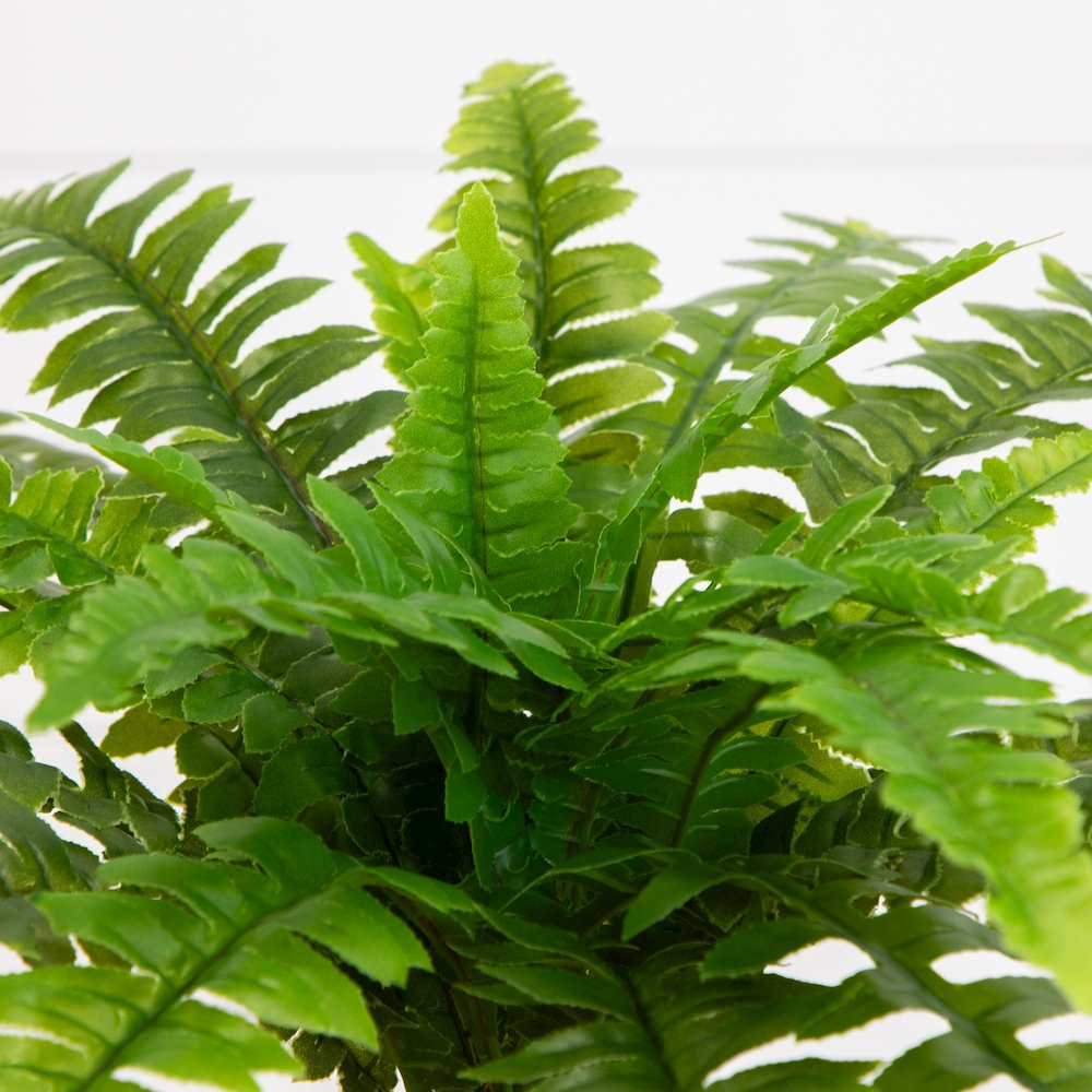 19in. UV Resistant Artificial Boston Fern (Indoor/Outdoor) - Set of 2. Picture 3