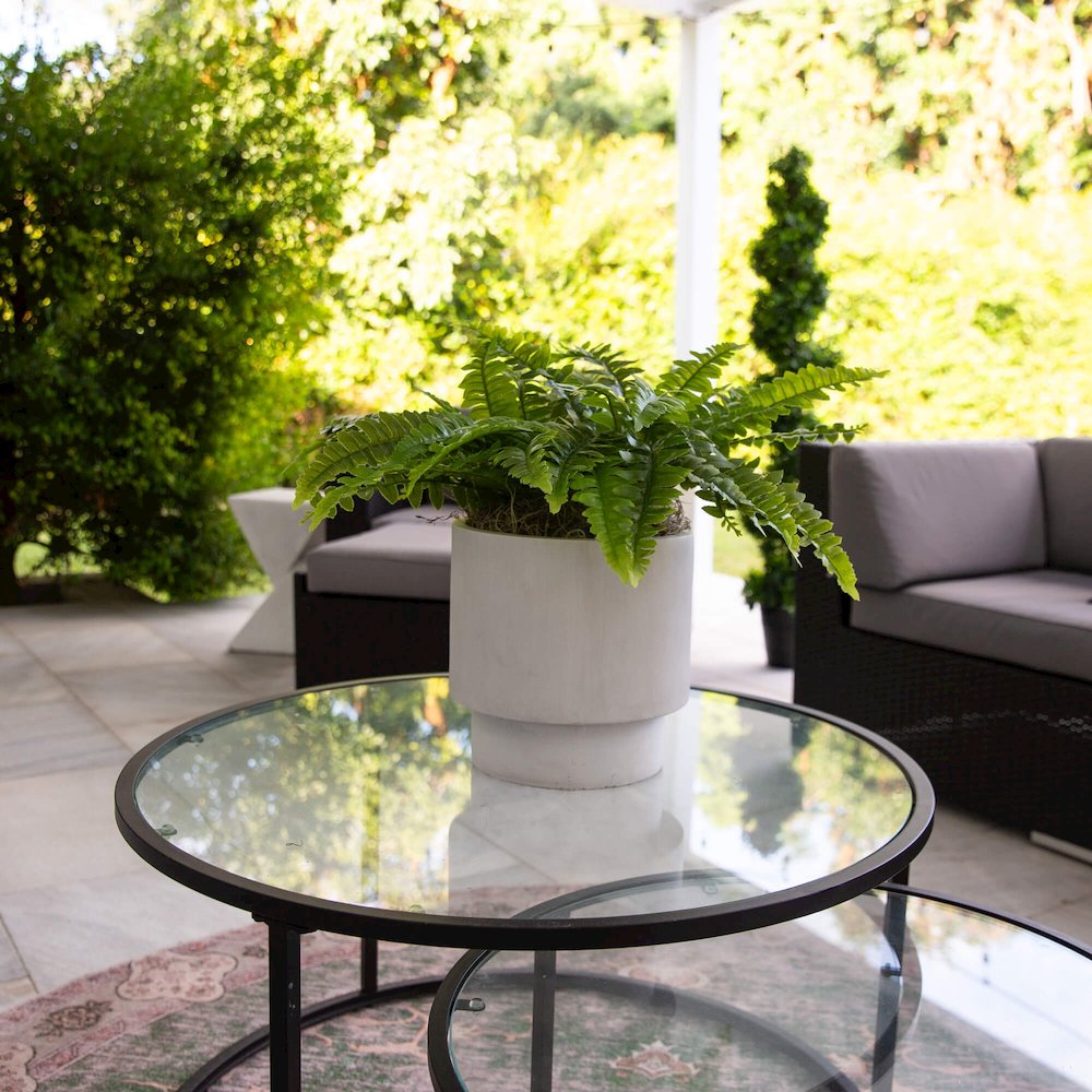 19in. UV Resistant Artificial Boston Fern (Indoor/Outdoor) - Set of 2. Picture 6