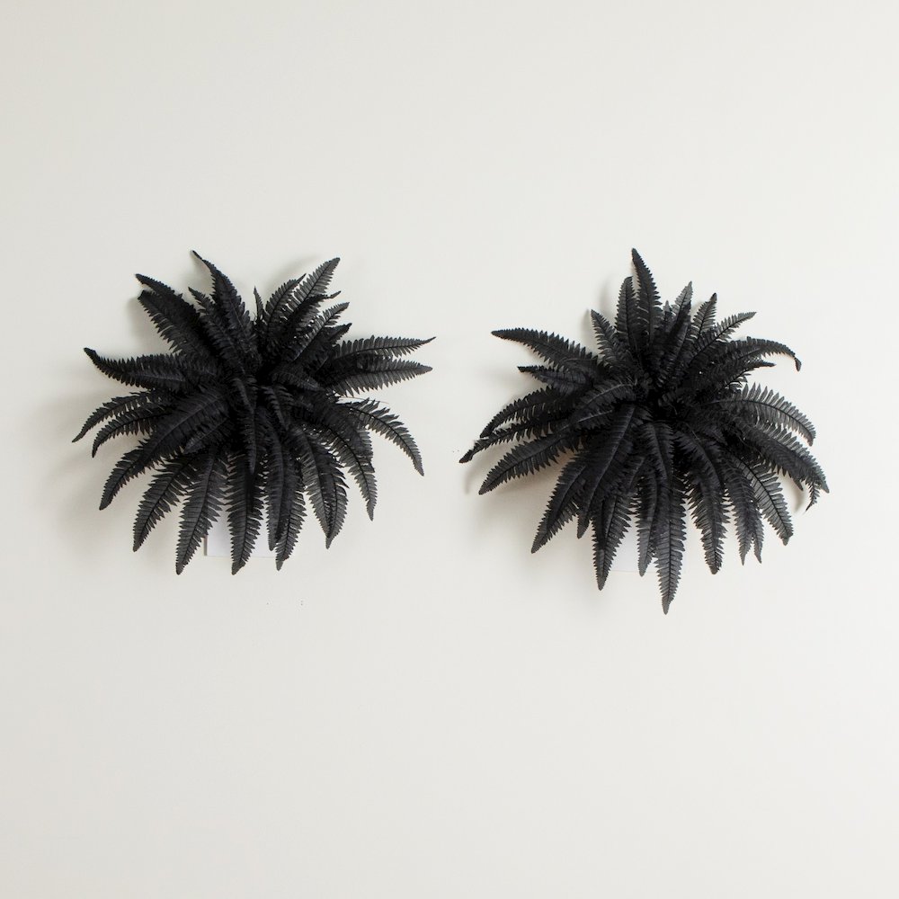 40in. Artificial Halloween Black Boston Fern - Set of 2. Picture 6