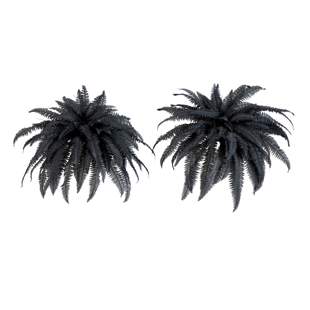 48in. Artificial Halloween Black Boston Fern - Set of 2. Picture 1