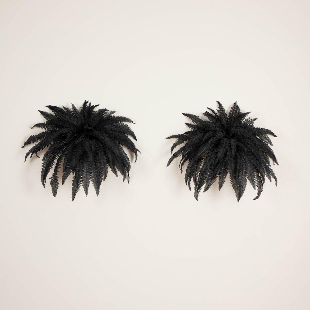 48in. Artificial Halloween Black Boston Fern - Set of 2. Picture 2