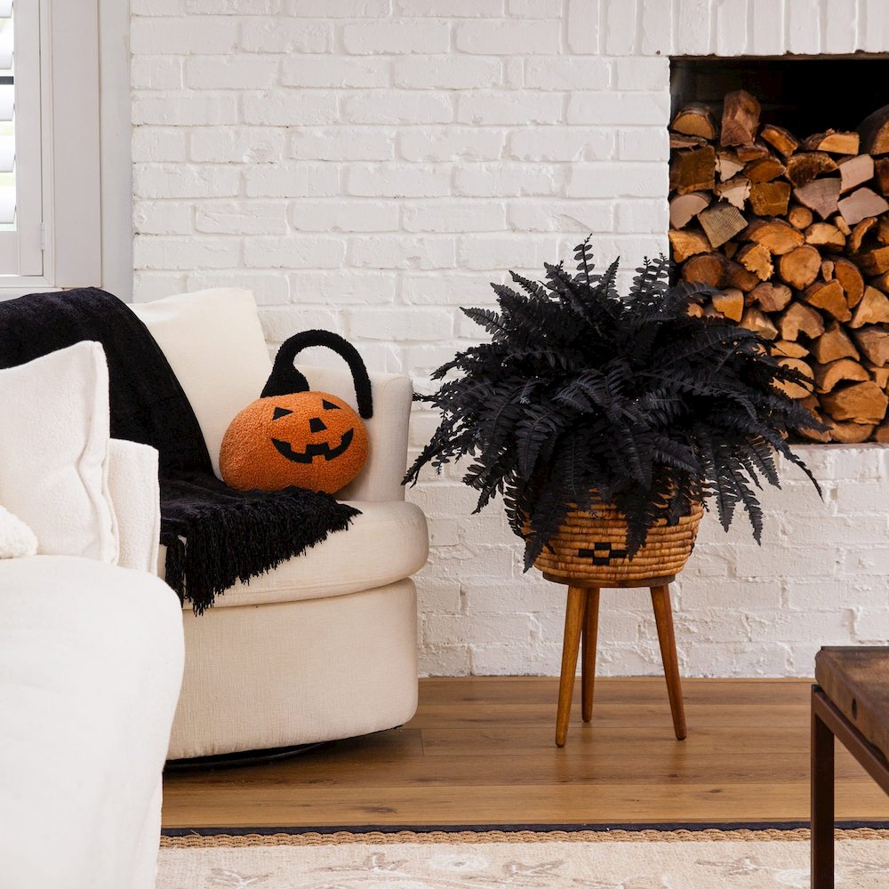 19in. Artificial Halloween Black Boston Fern - Set of 6. Picture 7