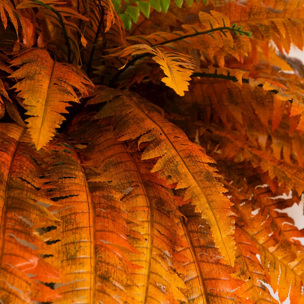 48in. Autumn Artificial Fall Boston Fern - Set of 2. Picture 5