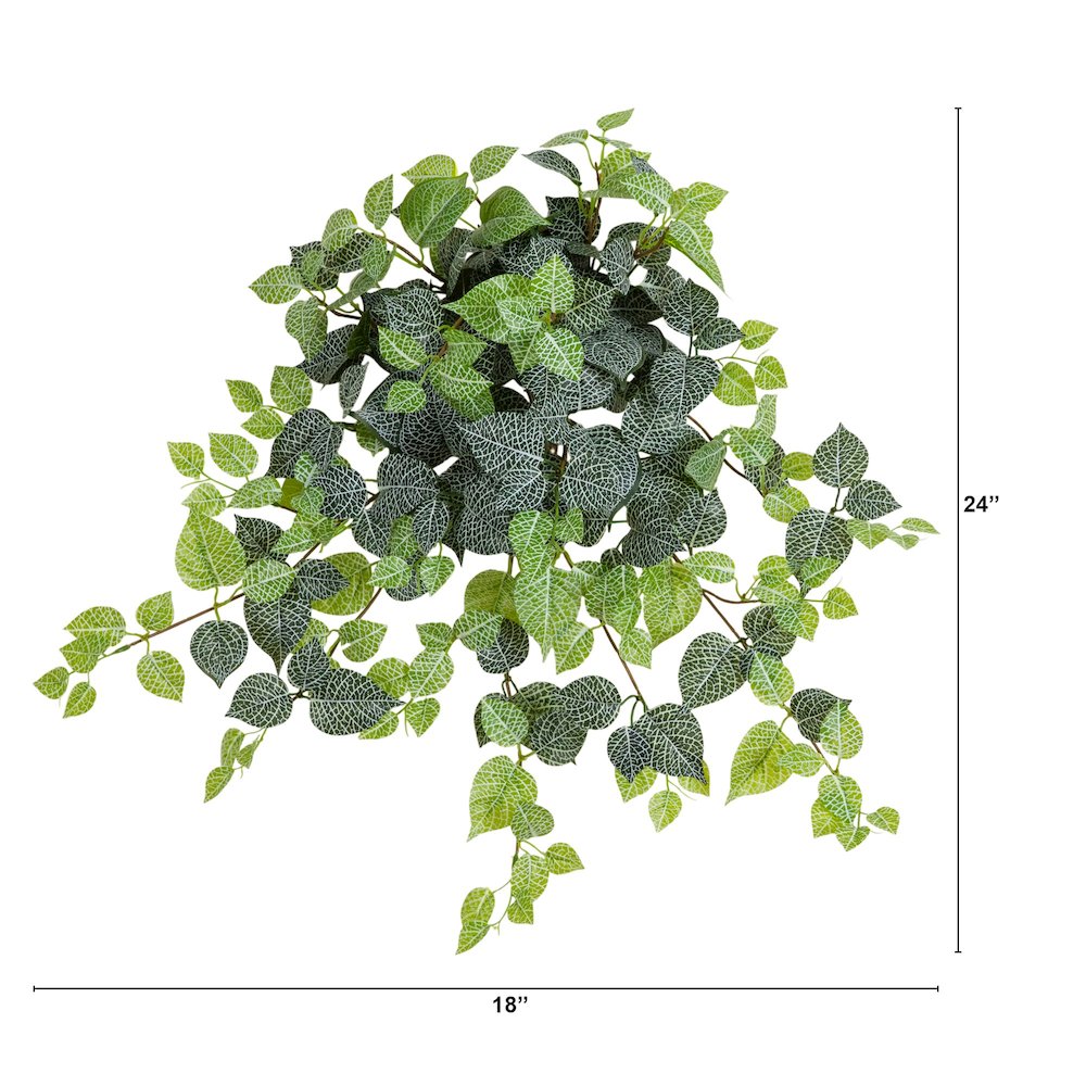 24in. UV Resistant Artificial Fittonia Hanging Plant (Indoor/Outdoor) - Set of 3. Picture 2