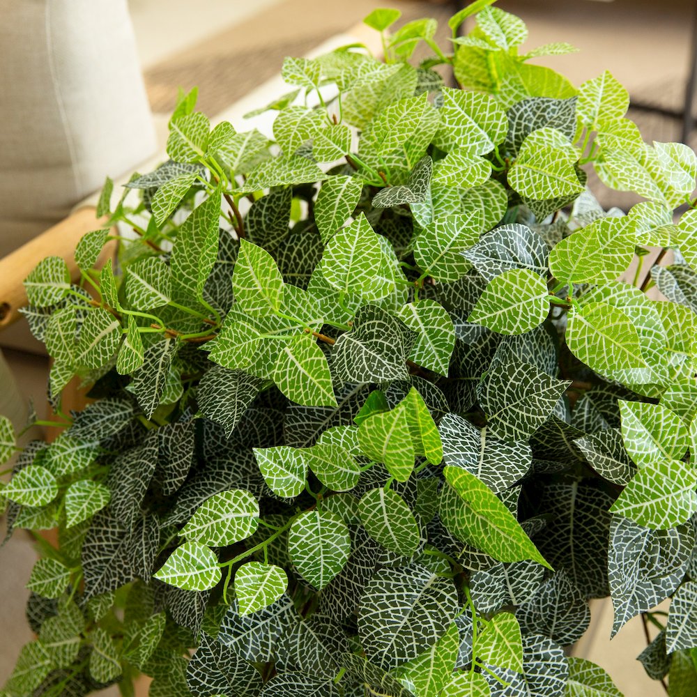 24in. UV Resistant Artificial Fittonia Hanging Plant (Indoor/Outdoor) - Set of 3. Picture 4