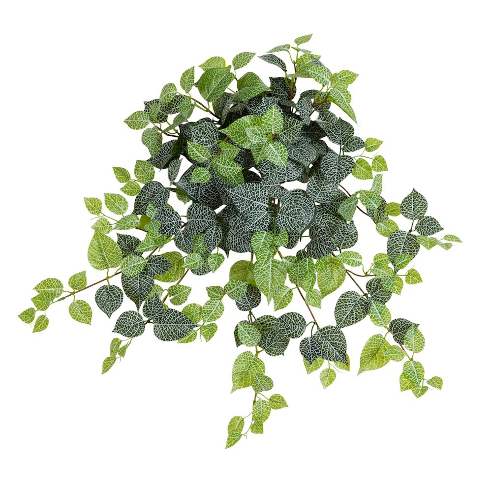24in. UV Resistant Artificial Fittonia Hanging Plant (Indoor/Outdoor) - Set of 3. Picture 5