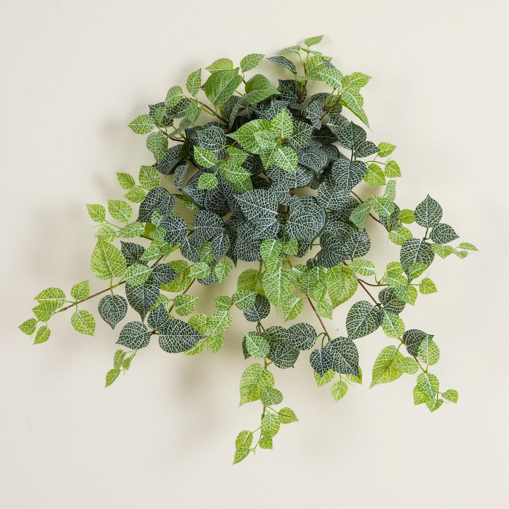 24in. UV Resistant Artificial Fittonia Hanging Plant (Indoor/Outdoor) - Set of 3. Picture 3